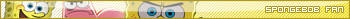 spongebob fan