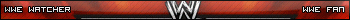 wwe watcher and fan