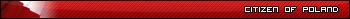 Polish Flag 1