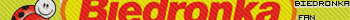 Biedronka