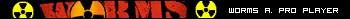 WORMS ARMAGEDDON PRO PLAYER