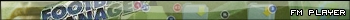 FM Player