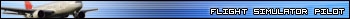 Flight Simulator Pilot