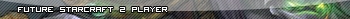 Future Starcraft 2 Player
