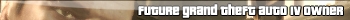 Future GTA IV Owner - 3