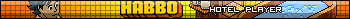 Habbo Hotel Player