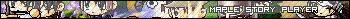 Maple Story Player