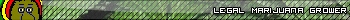 Legal Marijuana Grower
