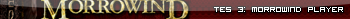 TES 3: Morrowind