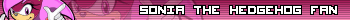 Sonia the Hedgehog Fan