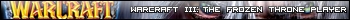 Warcraft III - Frozen Throne Player