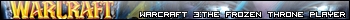 Warcraft III - Frozen Throne Player