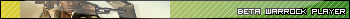 Warrock Beta Player