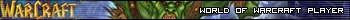 World of Warcraft