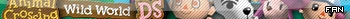 Animal Crossing Wild World DS Fan