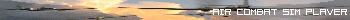 air combat simulator