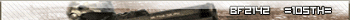 BF2142  105th