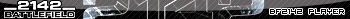 BF2142 Player