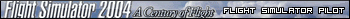 Flight Simulator 2004