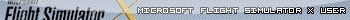Microsoft Flight Simulator X User