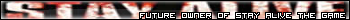for those soon to be owners of my game