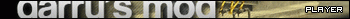 Garry's Mod 10 Player