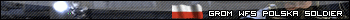 GROM WFS POLSKA Soldier (a)