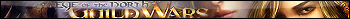 Guild Wars