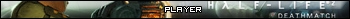 Half Life 2: Deathmatch