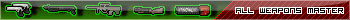 All Weapons Master (Soldat)