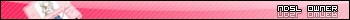 ndsl_owner
