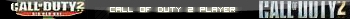 Call of duty 2 player