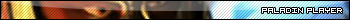 Diablo II Paladin Player