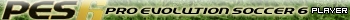 Pro Evolution Soccer 6