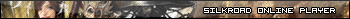 Silkroad Online Player