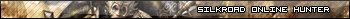 Silkroad Online Hunter