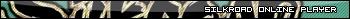 Silkroad Online Player