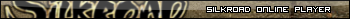 Silkroad Online Player