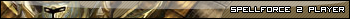 SpellForce 2 player