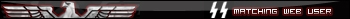 SS Matching Web User