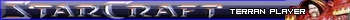 Starcraft Terran player
