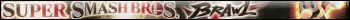Super Smash Bros. Brawl Fan