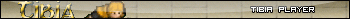 Tibia player
