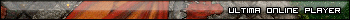 Ultima Online player