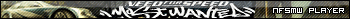Need For Speed Most Wanted