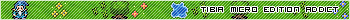 Tibia Micro Edition Addict