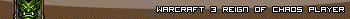 Warcraft 3 Reign Of Chaos player