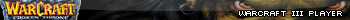 Warcraft 3