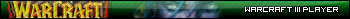 Warcraft III Player (Night Elf)