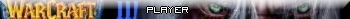Warcraft3